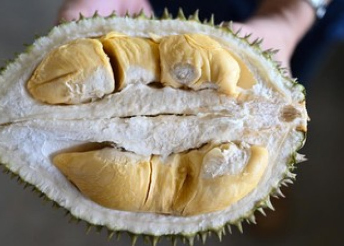 Simak Berikut Makanan yang Tidak Boleh Dikonsumsi Bersamaan dengan Durian