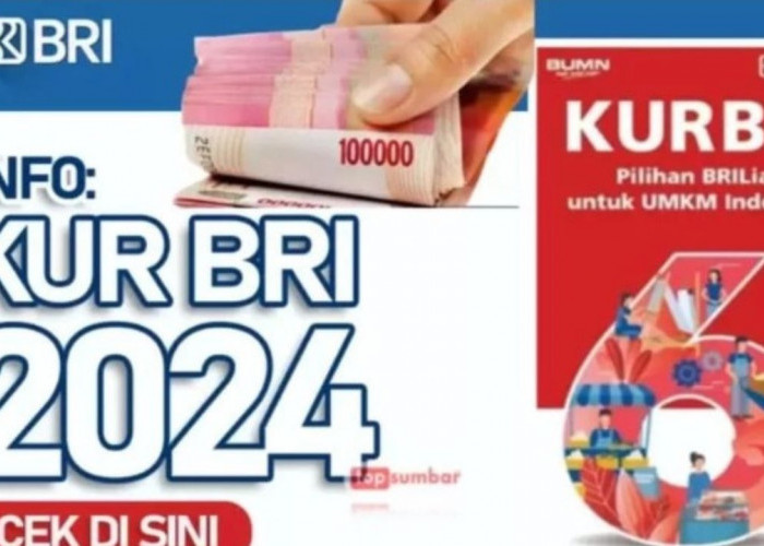 KUR BRI, 'Pahlawan' Permodalan bagi UMKM