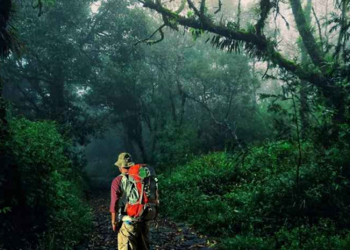 Mengerikan! Kisah Mistis Pendaki Gunung Merbabu, Yogyakarta: Diterpa Kabut Tebal, Suara-Suara Aneh