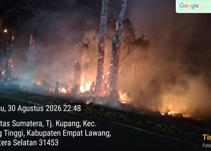 Kebakaran Lahan di Perbatasan Empat Lawang-Lahat, Tim Gabungan Bergerak Cepat Jinakkan Api