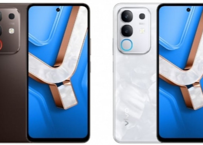 HP Memori 256 GB Harga Rp1 Jutaan Makin Diburu, Solusi Penyimpanan Lega Tanpa Lag