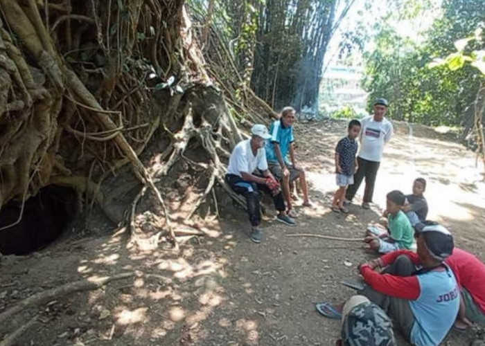 Geger Pohon Keramat di Gua Pangeran Mangkubumi, Kayunya Diambil Tertimpa Bala