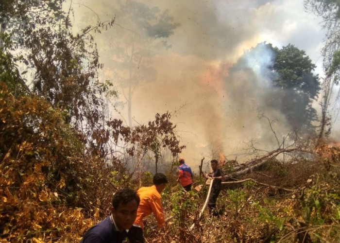 Kebakaran Lahan Terjadi di Dekat SMA Nyaris Sambar Area Pemakaman