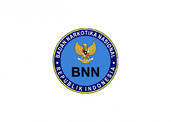 BNNP Kalimantan Utara Buka Rekrutmen Baru, Ini Syarat dan Posisi yang Dibutuhkan