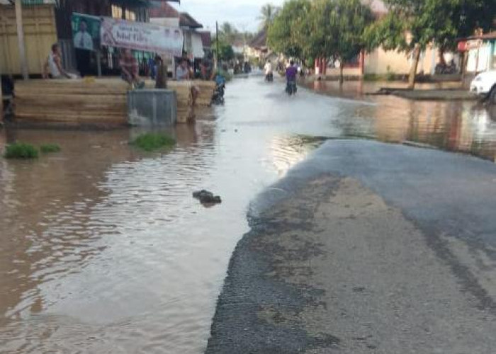 Jalan di Desa Ini Tergenang Banjir