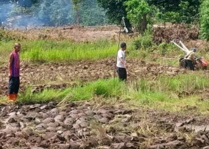 Lapas Empat Lawang Lanjutkan Penggarapan Sawah di Lahan SAE, Dukung Ketahanan Pangan Nasional