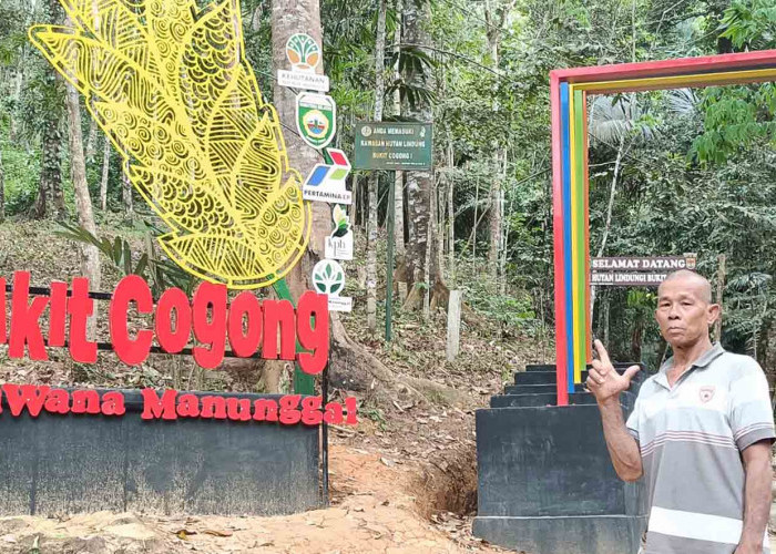 Bukit Cogong Bersiap Jadi Wisata Alam Baru, Rumah Konservasi Anggrek Segera Dibangun