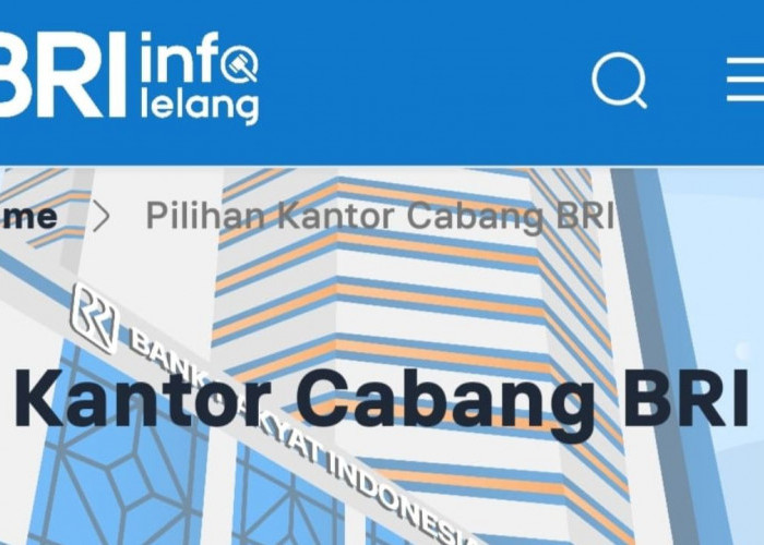 Prosedur dan Informasi Lelang di BRI: Panduan Lengkap Bagi Calon Investor Properti