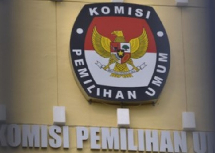 Politikus PKB Desak Sanksi Berat Anggota DKPP yang Ikut Rombongan KPU Naik Helikopter