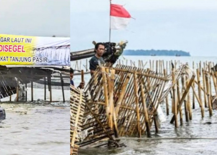 Menteri KKP dan KSAL Sepakat Bongkar Pagar Laut di Perairan Tangerang