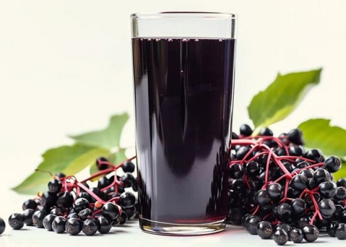 Manfaat Luar Biasa Jus Elderberry: Bakar Lemak Lebih Cepat hingga Cegah Diabetes