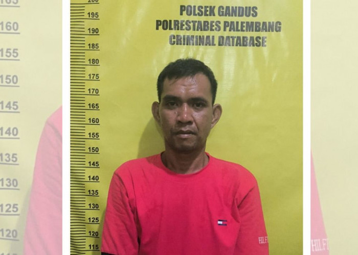 Aniaya Pria Paruh Baya hingga Tewas, Mantok Diringkus Polisi