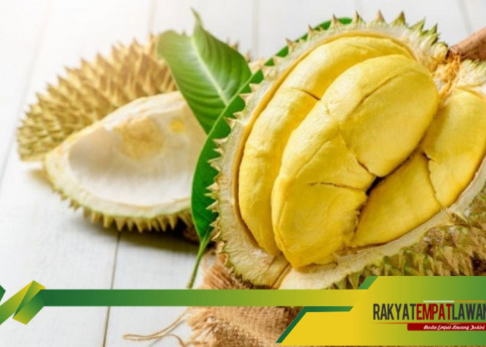 Sering di Abaikan, Biji Durian Bisa Cegah Hipertensi dan Menjaga Kesehatan Jantung
