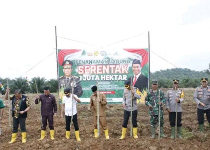 Penanaman Jagung Serentak Satu Juta Hektar di Empat Lawang: Wujud Nyata Dukung Ketahanan Pangan Nasional