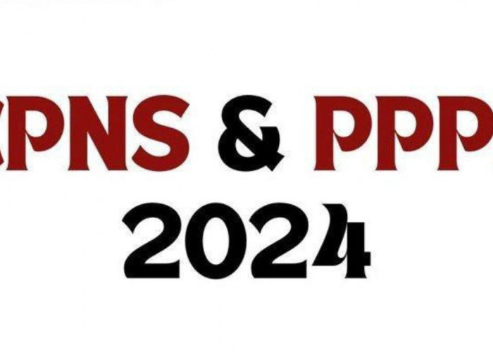 Strategi Fresh Graduate Menghadapi Seleksi CPNS 2024 dengan 2,3 Juta Formasi Terbuka