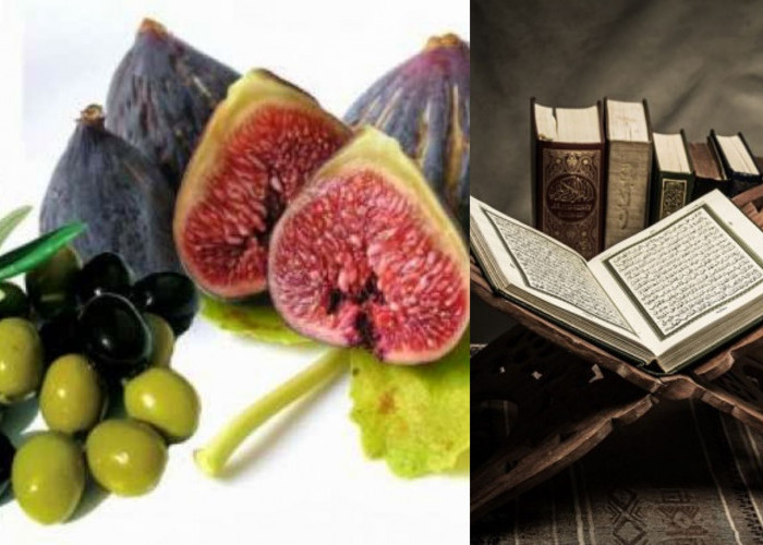 Luas Biasa, Buah Istimewa dalam Al-Qur'an, Ampuh Menurunkan Kolesterol