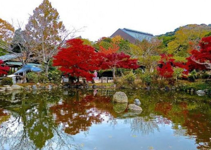 Mengulik Keindahan Taman Maruyama di Kyoto