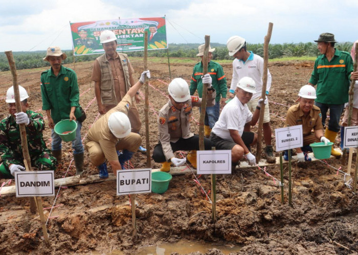 Kapolres Lahat Ikuti Penanaman Jagung Serentak 1 Juta Hektar