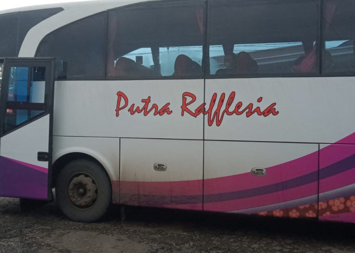 Masih Aman!!, Harga Tiket Bus Tebing Tinggi - Jakarta Belum Naik