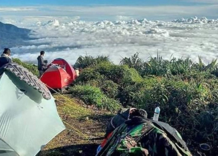 Di Balik Tirai Kabut: Mengupas Misteri Gunung Kaba di Bengkulu