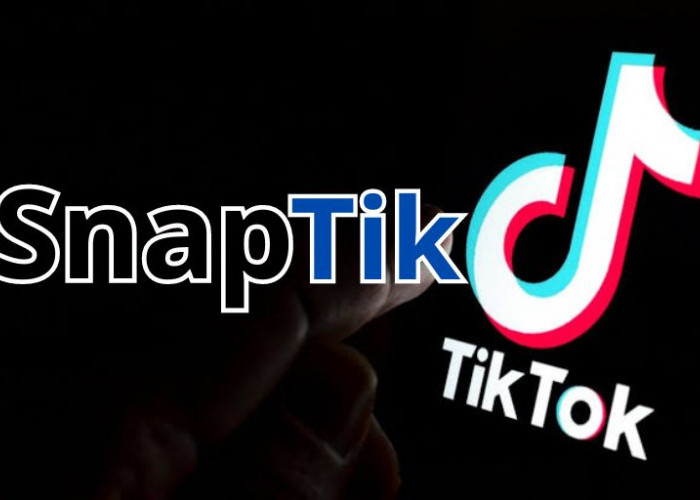 SnapTik, Cara Download Video TikTok Tanpa Watermark Cukup Copy-Paste