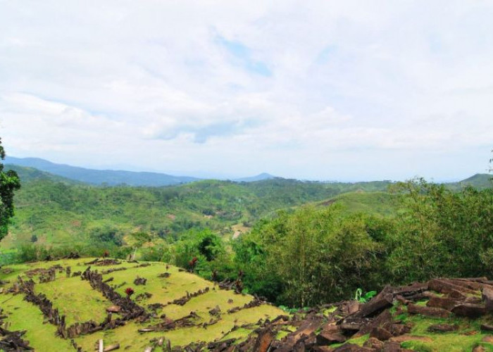 Arkeologi Tersembunyi di Pulau Sumatera, Menelusuri Situs Megalitikum di Padang Roco Sampai Kutukan di Candi