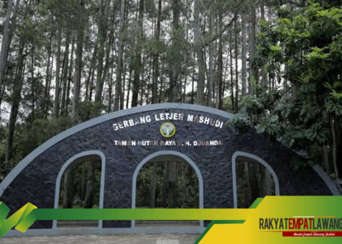 Misteri dan Kecantikan Alam: Eksplorasi Taman Hutan Raya Ir. H. Djuanda, Bandung