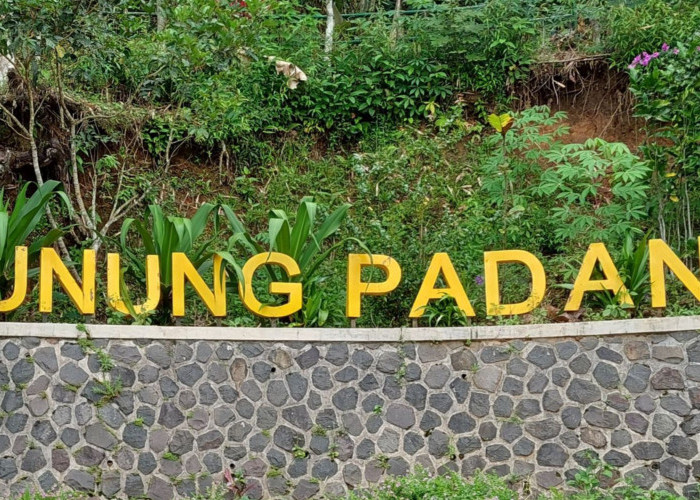Berapa Orang Yang Menemukan Situs Gunung Padang?Bukan Pejabat Apalagi Konglemerat, Simak Disini!