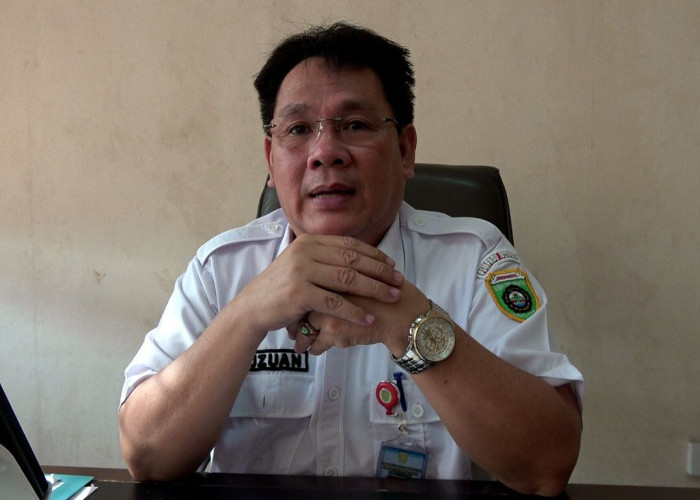 Presiden Prabowo Sumbang 18 Sapi Kurban untuk Sumsel pada Idul Adha 1446 H