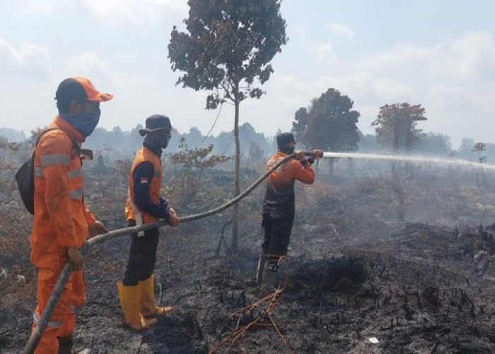 Kebakaran Lahan Gambut di Bayung Lencir Meluas Menjadi 45 Hektare