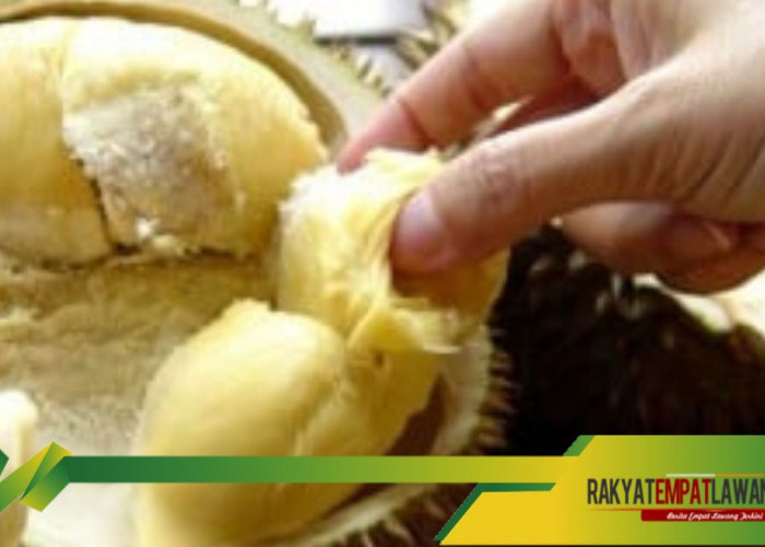 Bukan Hanya Lezat, Kandungan Nutrisi Durian Bisa Memperkuat Otot