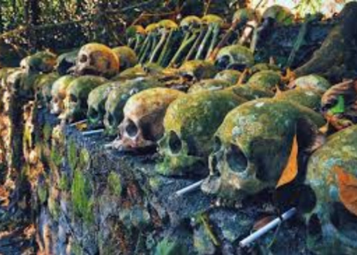 Misteri Desa Trunyan: Asal Usul dan Kuburan Uniknya