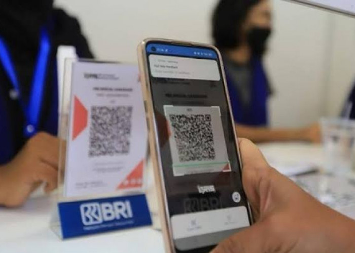 Lewat BRIlink, PMI di Desa Talang Pangeran Kirim Uang Cepat, Murah, dan Aman