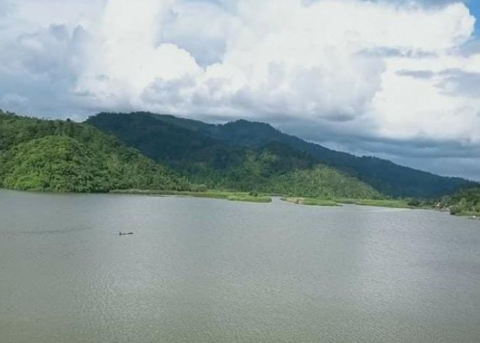 Mitos dan Keberadaan Ular Kepala Tujuh di Danau Tes Bengkulu