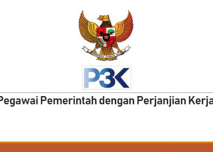 Wajib Diketahui, Ini 12 Perjalanan PPPK di Indonesia! Ada Apa Aja?