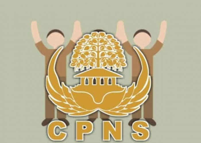 Rekrutmen dan Penerimaan CPNS Segera Dibuka, Berikut Rincian Kebutuhan CPNS 2023 Pusat dan Daerah