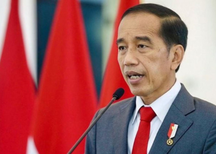 Rekrutmen CPNS 2024: Pengumuman Jokowi Dilakukan Awal Januari