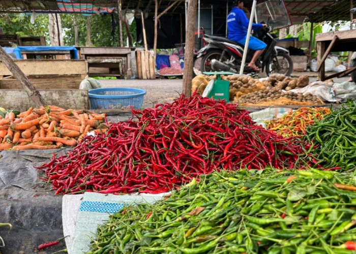 Cabe dan Bawang Merah Dusun Mengalami Kenaikan Harga Signifikan di Pasar Pulo Mas Tebing Tinggi, Capai 120 Rib