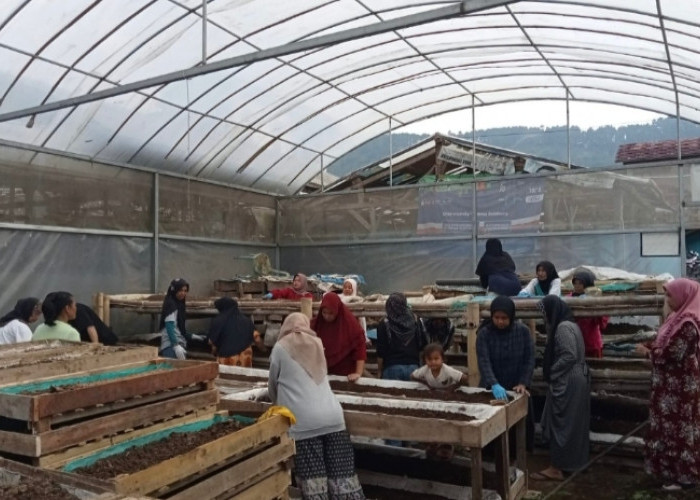 Dari Limbah Jadi Berkah! Kisah Inspiratif Perempuan Bandung Barat Bangun Usaha lewat Sinergi Ultra Mikro BRI