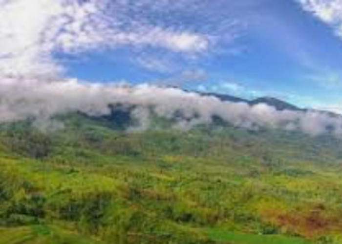 Cagar Alam Gunung Leuser: Permata Alam Sumatera
