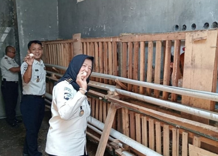 Lapas Empat Lawang Panen Telur Ayam, Dorong Ketahanan Pangan dan Kemandirian Warga Binaan