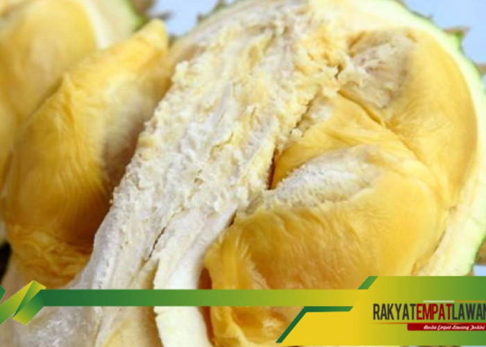 Menurunkan Risiko Tekanan Darah Tinggi dengan Durian, Kok Bisa ya, Simak Disini!