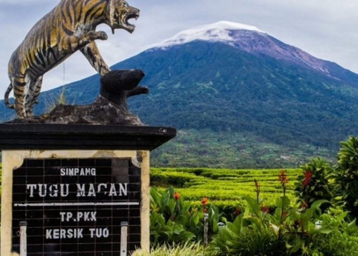 Arkeologi Tersembunyi di Pulau Sumatera, Taman Purbakala di Padang Lawas sampai Pertemuan Budaya di Kerinci