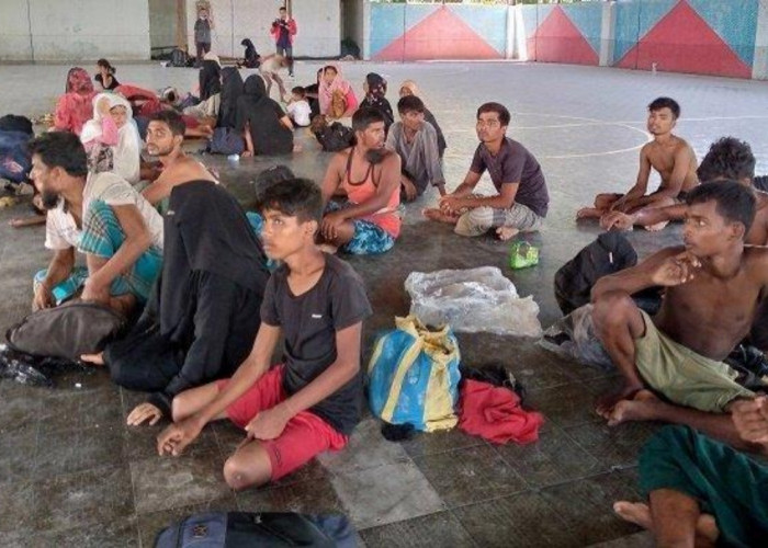 Pengungsi Rohingya Diduga Cetak E-KTP Palsu di Medan dengan Bayaran 300 Ribu per Orang, Walikota Bobby Meninda