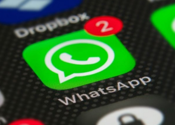 WhatsApp Fasilitasi Pengguna untuk Mengelola Event Melalui Komunitas