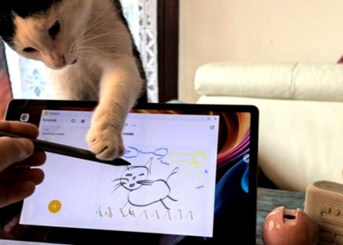 8 Tablet 5G Paling Laris Saat Promo Lebaran 2026, Internet Super Cepat Tanpa WiFi Jadi Andalan