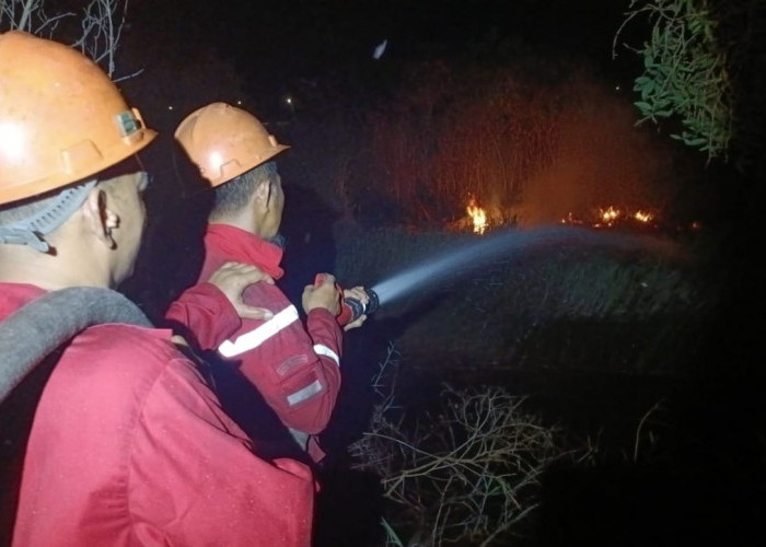 BPBD Sumsel Imbau Warga Tak Bakar Lahan Jelang Kemarau Kering 2025