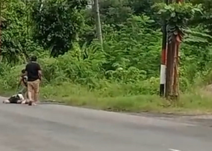 Video Penangkapan di Baturaja OKU Viral, Tersangka Perusakan Pos Lantas Tewas Ditembak