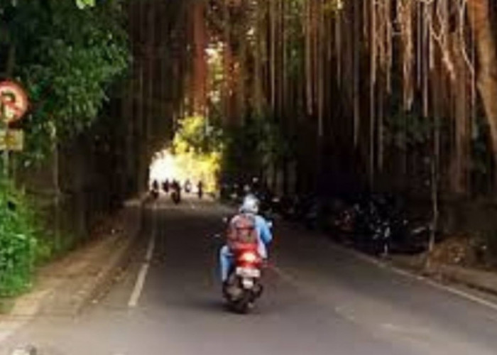 Lokasi Terkenal Angker di Ubud Gianyar Bali, Kisah Pertemuan Misterius dengan Arwah di Jalan Raya Tjampuhan