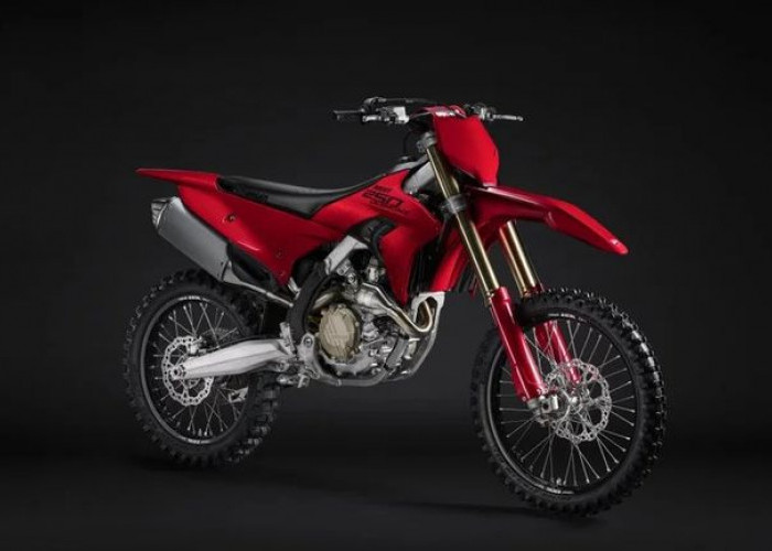 Ducati Diam-Diam Rilis Motor Trail 250 cc Baru, Desmo250 MX Usung Teknologi Mesin Turunan Panigale V4 R